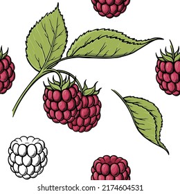 Raspberries seamless pattern. Hand drawn sketch style ripe fruits and berries vector illustration. Ideal for designs, fruit markets and vegan menu.