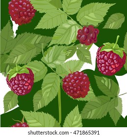 raspberries seamless summer colorful pattern