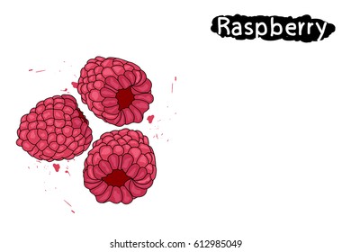 raspberries. squirt of raspberry juice.