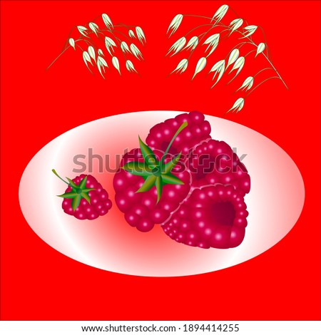 raspberries with a tail and ears of oats