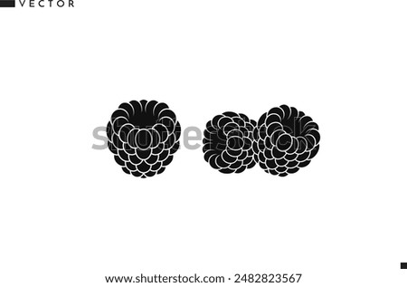 Raspberries vector. Fresh fruit icon. Isolated raspberry on white background. Vegan food sign
