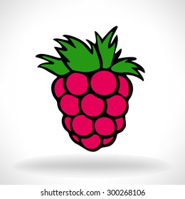 raspberries vector illustration 