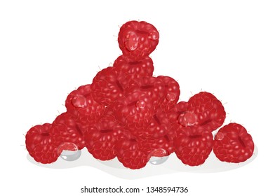 
Raspberries. Vector illustration. Eps