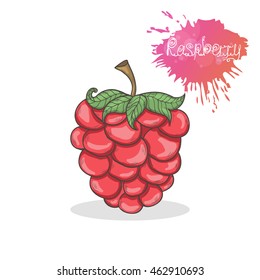 Raspberries vector illustration isolated on a white background.Summer fruit berry icon hand draw in doodle style