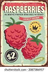 Raspberries vintage farm fresh organic fruit sign design. Fresh raspberry on old metal background retro promo poster banner. Vector image.