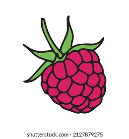  raspberries. White background with raspberry. Vector illustration. 