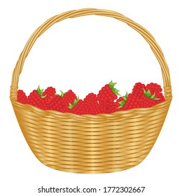 
Raspberries in wicker basket. Vector illustration.