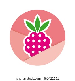 Raspberries in yogurt, cream, ice cream, vector icon