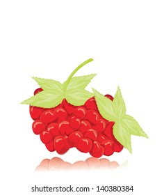 raspberry 