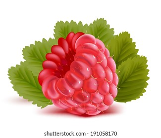 Raspberry