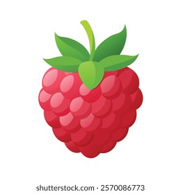 Raspberry 3D Vector Illustration, Cartoon Clipart and Line Art Design for Print