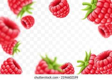 Raspberry background. Flying raspberry with green leaf on transparent background. Raspberry falling from different angles.Focused and blurry objects. 3D realistic vector.