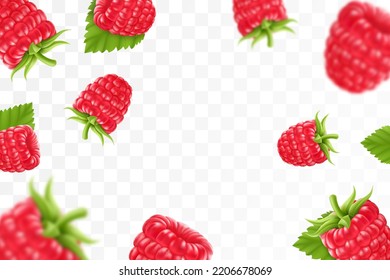 Raspberry background. Flying raspberry with green leaf on transparent background. Raspberry falling from different angles.Focused and blurry objects. 3D realistic vector.