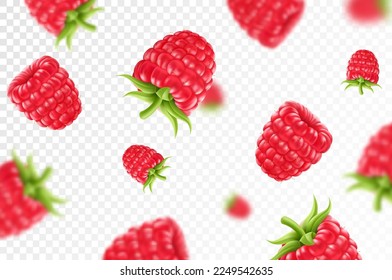 Raspberry background. Flying raspberry with green leaf on transparent background. Raspberry falling from different angles.Focused and blurry objects. 3D realistic vector.