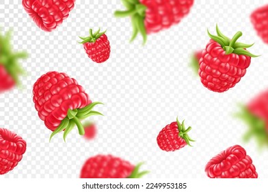Raspberry background. Flying raspberry with green leaf on transparent background. Raspberry falling from different angles.Focused and blurry objects. 3D realistic vector.
