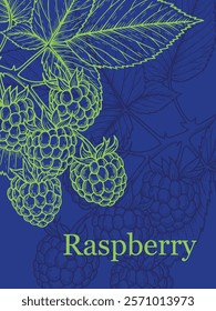 Raspberry banner design. Neon green line art on blue background. Engraving