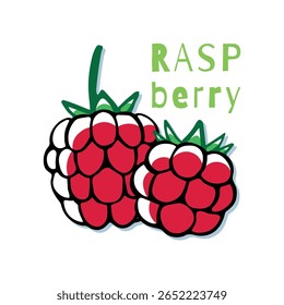 Raspberry berries close-up on a white background. Juicy summer berries in doodle style
