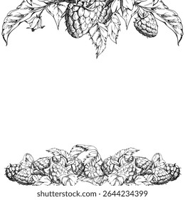Framboesa, brotos de flores, folhas grupo de aglomerados, mão desenhada em tinta vetorial, maduro jardim de floresta. Quadro quadrado isolado para menu de sobremesa, casamento, mercado de agricultores, calendário de jardinagem