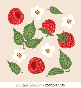 Raspberry berries, flowers, leaves set. berries clipart