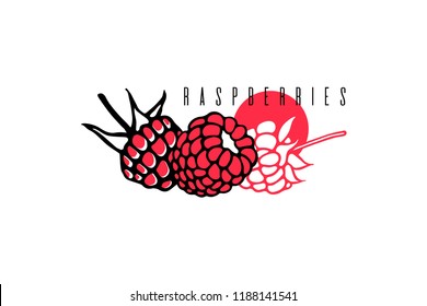 Raspberry berries. Hand drawn illustration. Vector graphics.