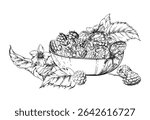 Raspberry berries leaves flowers served in glass bowl, ripe picked garden dewberry cloudberry mulberry boysenberry harvest. Isolated illustration hand drawn in vector ink. Farmers market preserves