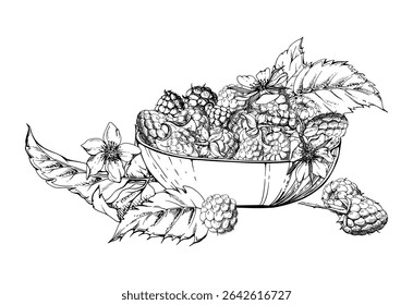 Framboesa bagas folhas flores servidas em tigela de vidro, maduro colheita de mirtilo de amoreira de amora de amora de jardim maduro. Mão de ilustração isolada desenhada em tinta vetorial. Conservas no mercado agrícola