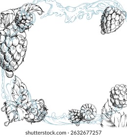 Las hojas de las bayas de frambuesa vuelan en gotas de rocío, salpicaduras de agua, jardín maduro fresa mora loganberry dibujado a mano en tinta de Vector. Marco de esquina cuadrado de borde aislado. Papelería del mercado de agricultores