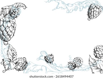 Raspberry berries leaves flying in water splash, dew drops, ripe garden dewberry cloudberry mulberry loganberry tayberry hand drawn in vector ink. Isolated border corner frame. Menu, farmers market