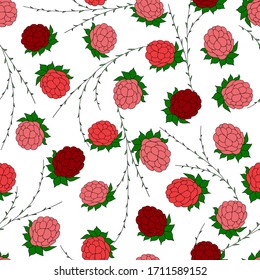 Bayas de frambuesa sobre un fondo blanco.  Patrón veloz. Diseño para tela, impresión, envoltura, tarjeta.
