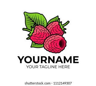 Raspberry, berries raspberries and leaf or leaves, logo template. Fruit, natural and organic food, product, vector design. Agriculture, farming, farm and nature, illustration