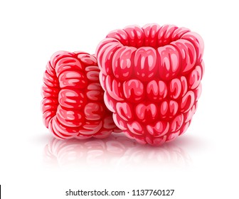 Bayas de frambuesa. Frutas maduras realistas rojas de frambuesas, aisladas de fondo blanco. Ilustración vectorial EPS10.