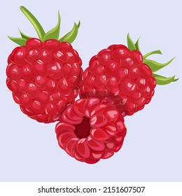 raspberry berry fresh food jam juicy tasty diet