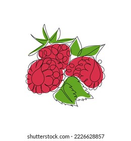 Raspberry berry fruit. Sweet, healthy, fresh berries. Continuous one line color vector illustration.