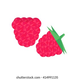 raspberry, berry in a geometrical stylization