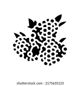 raspberry berry glyph icon vector. raspberry berry sign. isolated contour symbol black illustration