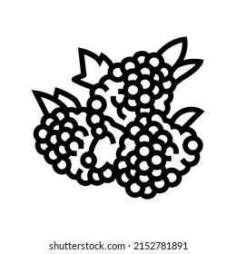 raspberry berry line icon vector. raspberry berry sign. isolated contour symbol black illustration