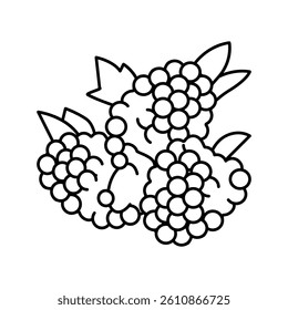 raspberry berry line icon vector. raspberry berry sign. isolated contour symbol black illustration