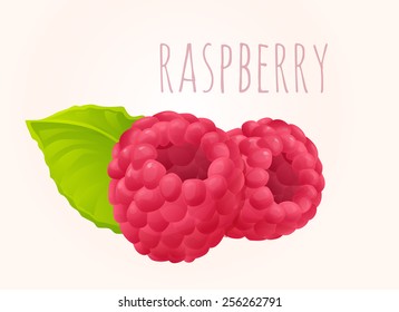 raspberry, berry, ripe, bright