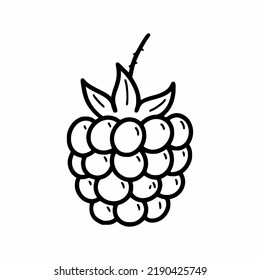 Raspberry berry. Vector doodle illustration. Hand drawn drawing. Sketch.