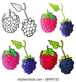 Raspberry & Blackberry