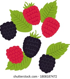 raspberry and blackberry flat illustration vector icon