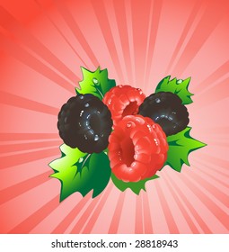 Raspberry and  blackberry with green leaves