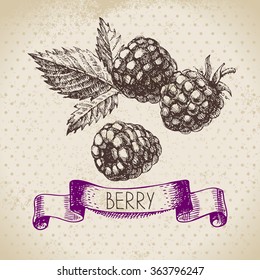 Raspberry. Blackberry. Hand drawn sketch berry vintage background. Vector illustration of eco food