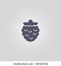 Raspberry Blackberry Icon