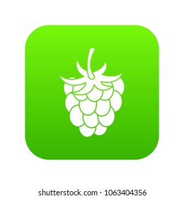Raspberry or blackberry icon digital green for any design isolated on white vector illustration