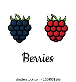 Raspberry and Blackberry icon set. Black and red berries isolated on white background. Vector logotype. Summer fruit collection. 