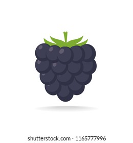 Raspberry Or Blackberry Icon. Vector Icon