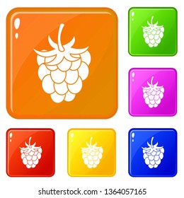 Raspberry or blackberry icons set collection vector 6 color isolated on white background