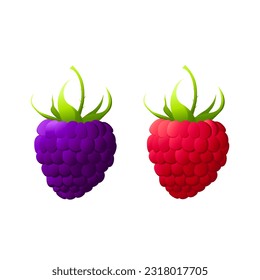Raspberry and blackberry.For labels, menus, poster, print, or packaging design. Vector illustration.
