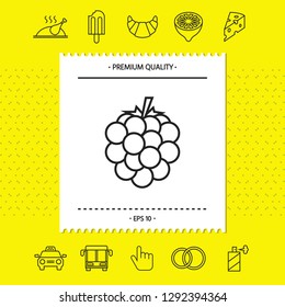 Raspberry, blackberry line icon. Graphic elements for your design